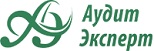 Аудиторські та Бухгалтерські Послуги від компанії в Одесі "Аудит-Експерт" Logo